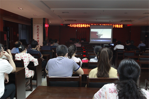 151663202506481159.jpeg 8.jpg