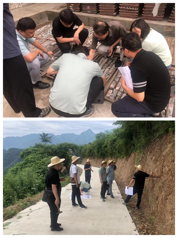 021690966495604089.jpeg 1.jpg