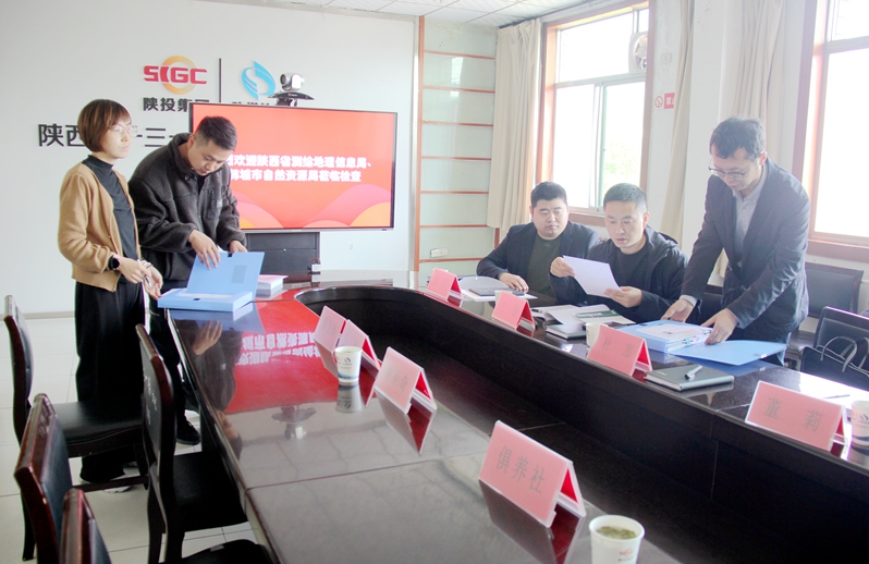 011698800853352856.jpeg 陕西省测绘地理信息局来一三一公司开展“双随机一公开”检查.JPG