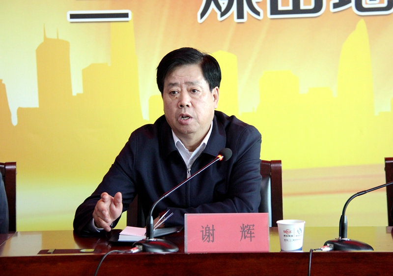 081699428762147317.jpeg 谢总讲话.JPG