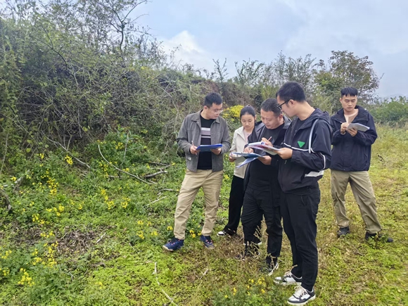 311761899356328890.jpeg 22202.jpg