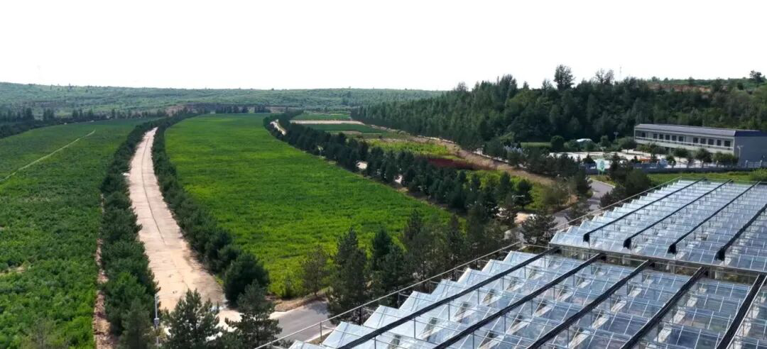 191763538864672694.png 191763538864672694.png