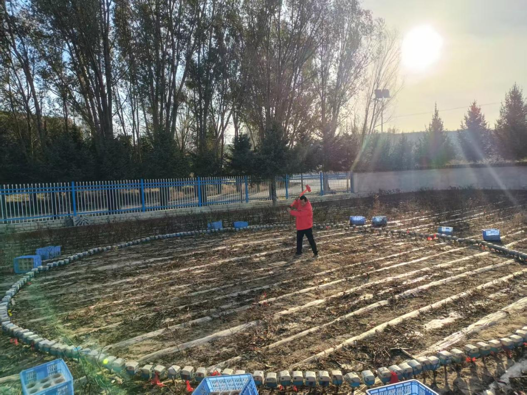 011764556796865097.png 011764556796865097.png