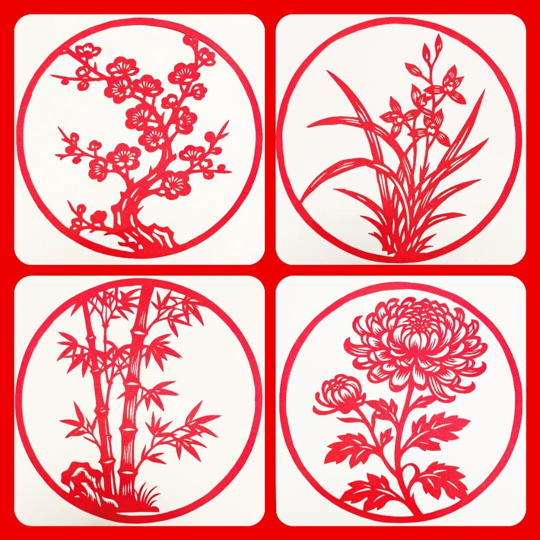 031764730457583911.jpeg 031764730457583911.jpeg