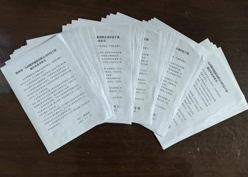 171773732336182673.jpeg 13.jpg